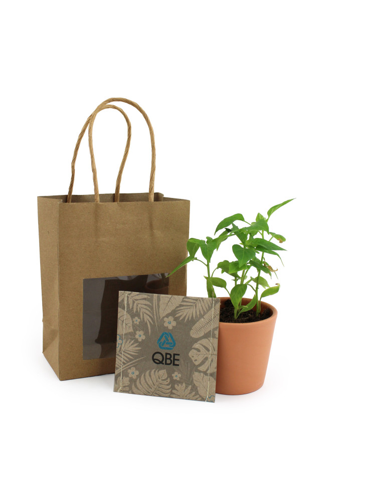 Kit plantation papier kraft publicitaire