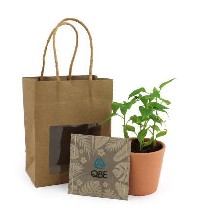 Kit plantation papier kraft publicitaire