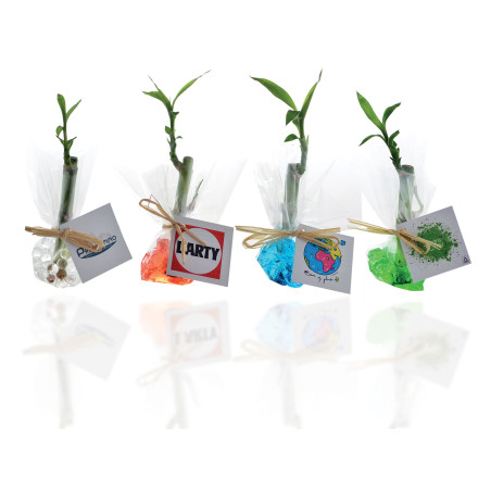 Bambou d'eau personnalisable