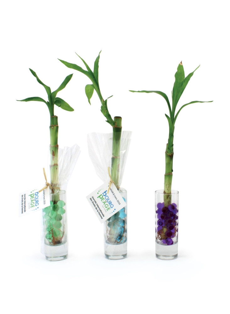 Bambou d'eau en verre publicitaire