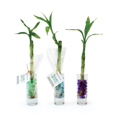 Bambou d'eau en verre publicitaire