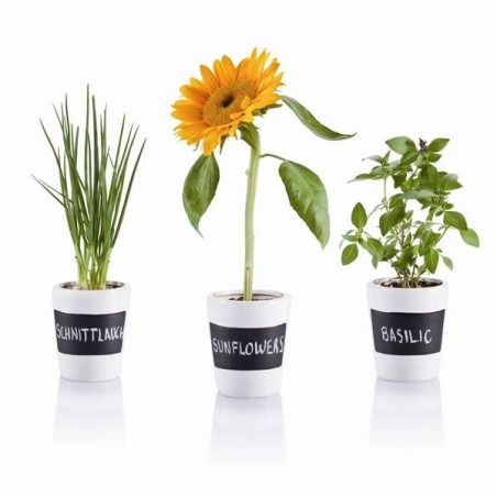 3 Pots à herbes