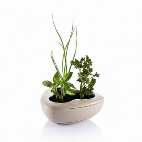 Pot Herbes Aromatiques