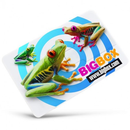 Clé USB Carte Crédit