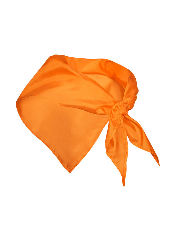 Foulard Triangulaire Personnalisé FESTERO - PN9003 | Promenoch