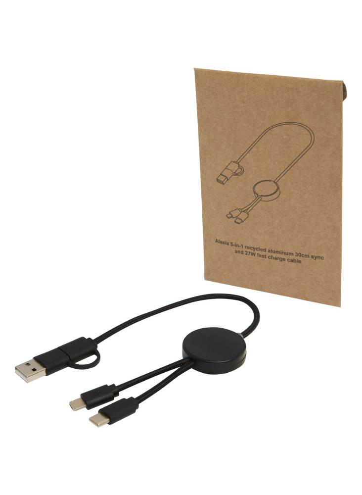Câble publicitaire 5-en-1 plastique recyclé 30 cm Citala