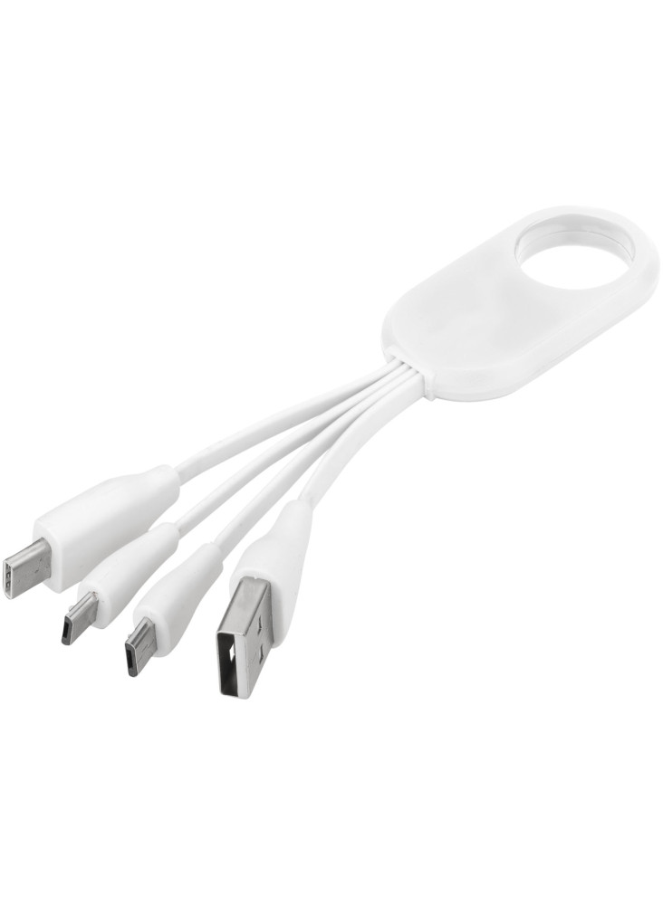 Câble USB multi ports type C 4 en 1 Troup