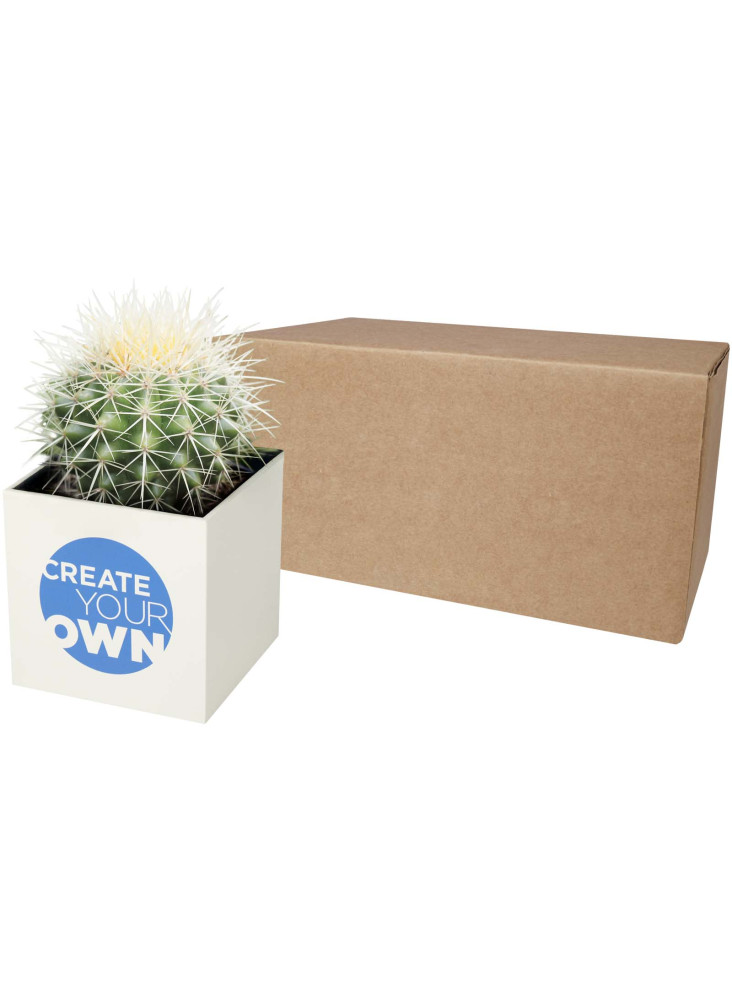 Pot aluminium publicitaire cactus Hey Pots