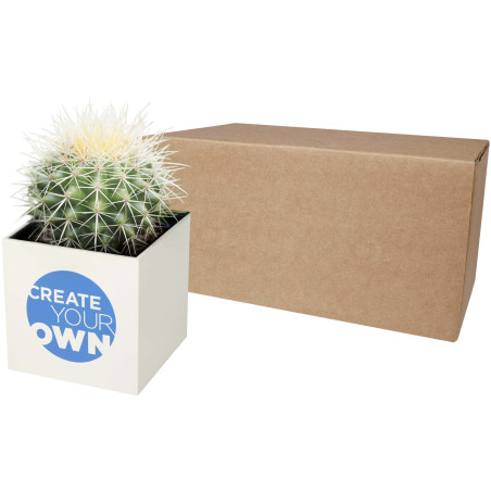 Pot en aluminium avec cactus Hey Pots
