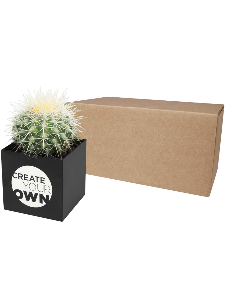 Pot aluminium publicitaire cactus Hey Pots