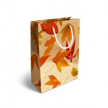 Sac papier personnalisé luxe impression quadri