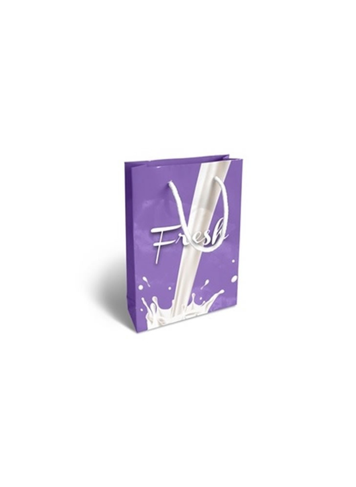Petit Sac Papier Impression Quadri publicitaire
