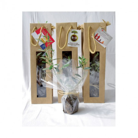 Plant d'arbre Sac kraft publicitaire