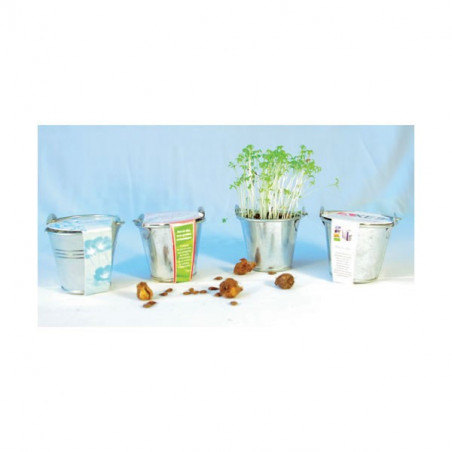 Kit de Plantation Pot Zinc
