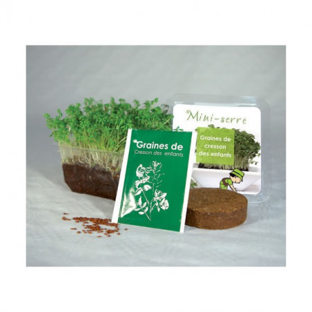 Kit de Plantation