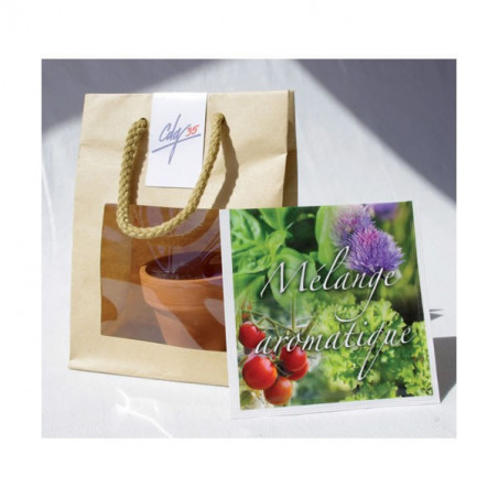 Kit de Plantation Kraft