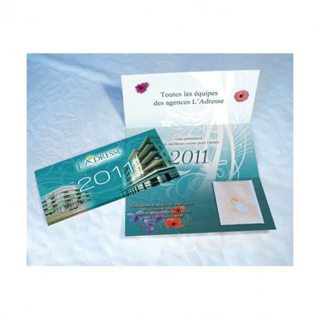 Carte 3 volets + Graines