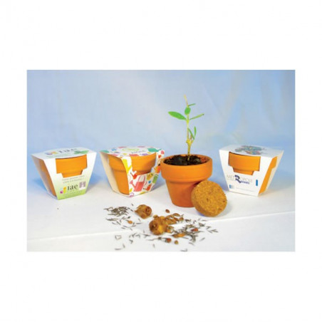 Kit de Plantation Publicitaire