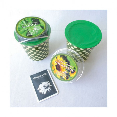 Kit Plantation Tournesol