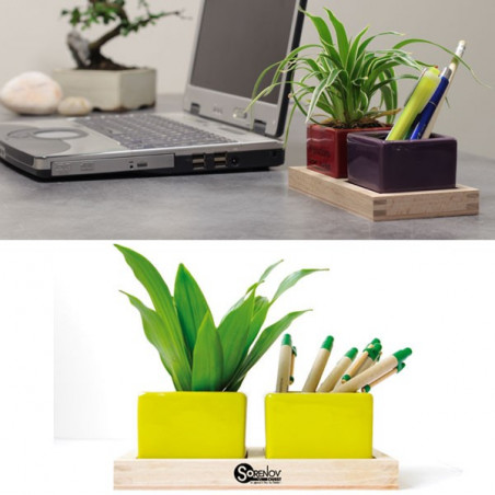 Plateau "Bureau vert"