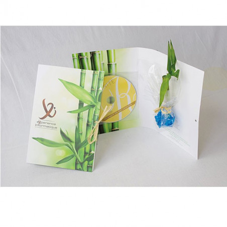 Canne chinoise en carte avec CD