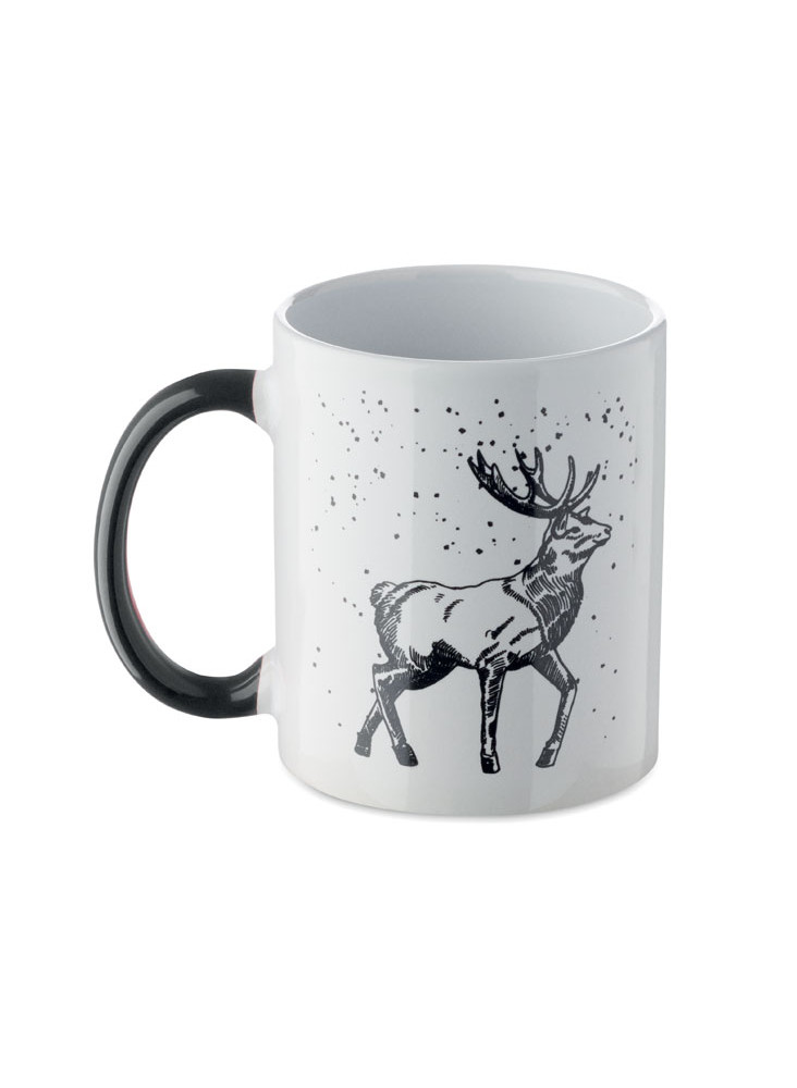 FESTIMUG