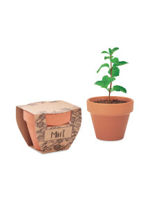 MINT POT