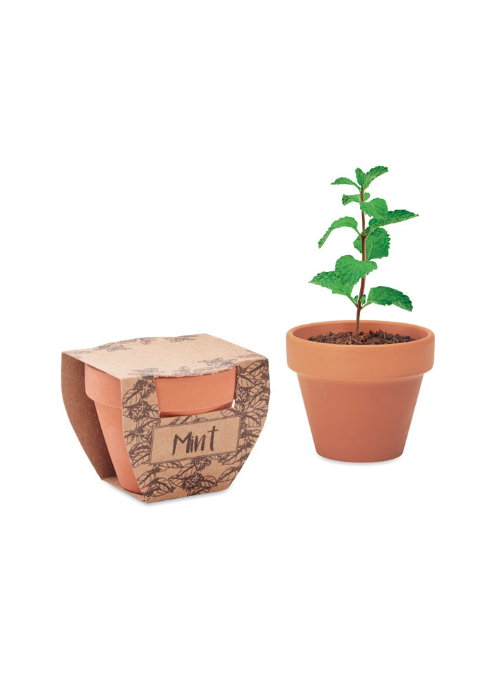 MINT POT