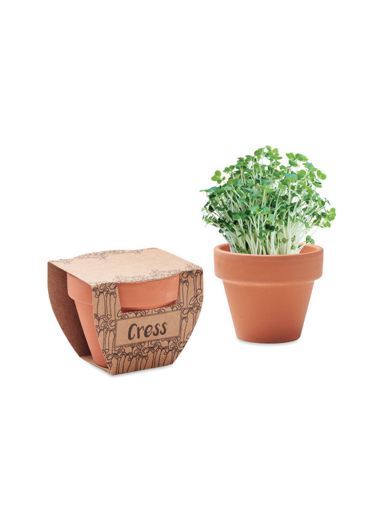 CRESS POT