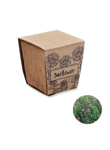SUNFLOWER KIT
