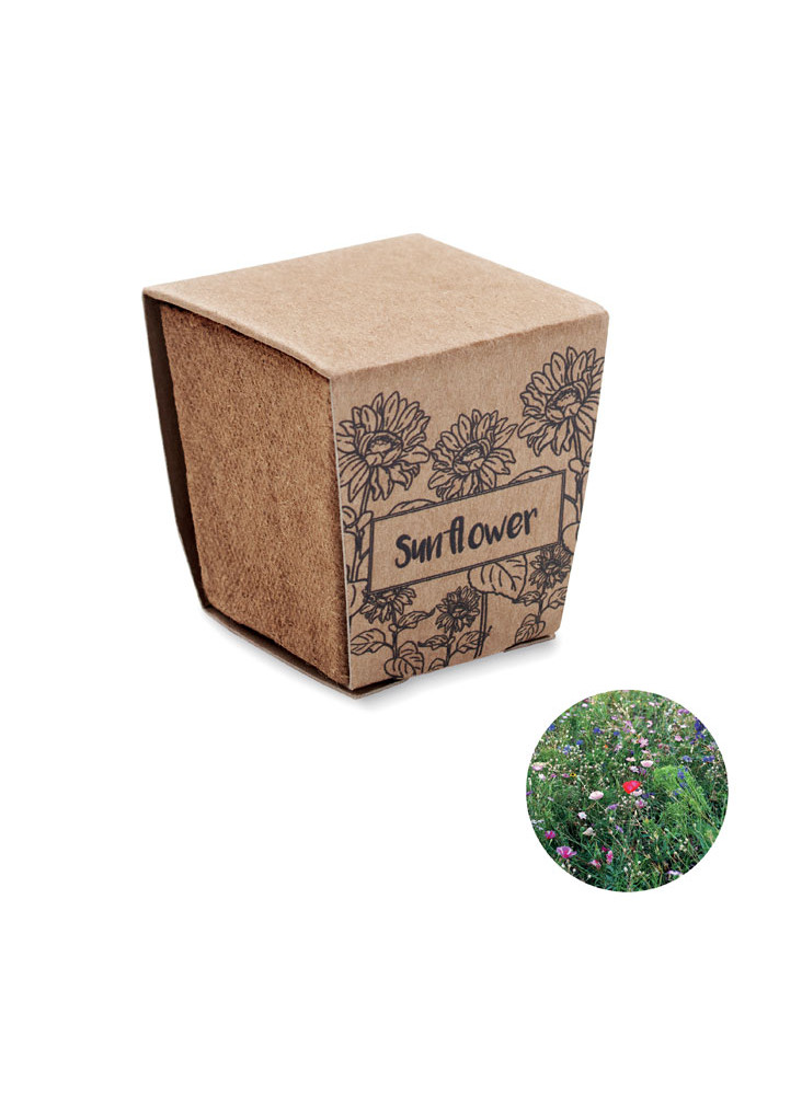 SUNFLOWER KIT