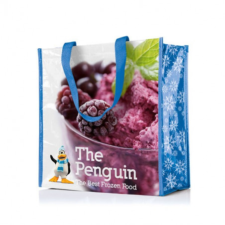 Sac Shopping Isotherme Quadri