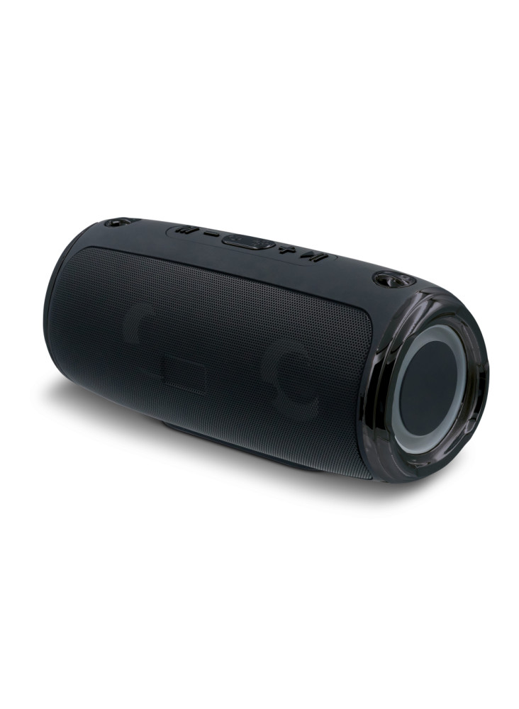 Grande enceinte avec bandoulière 20W