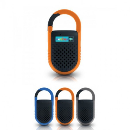 Haut Parleur Bluetooth
