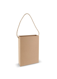 Sac en carton 24x8x32cm