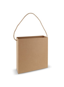 Sac en carton 35x35x11cm