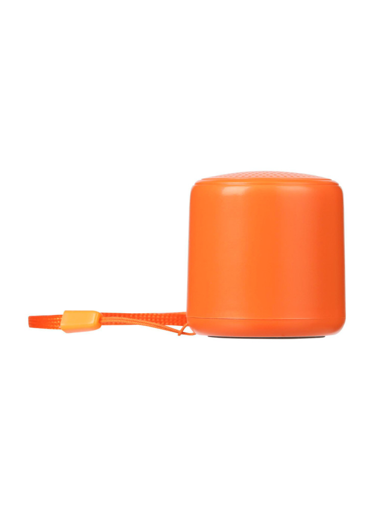 Enceinte sans fil Peblo