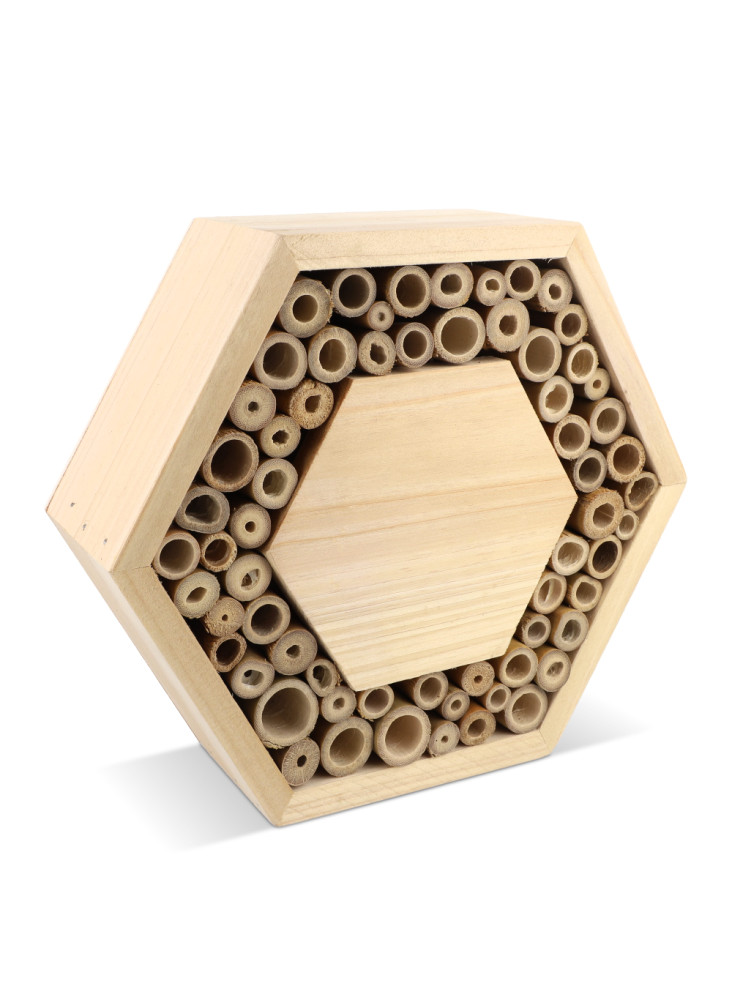 Ruche en bois FSC hexagonal