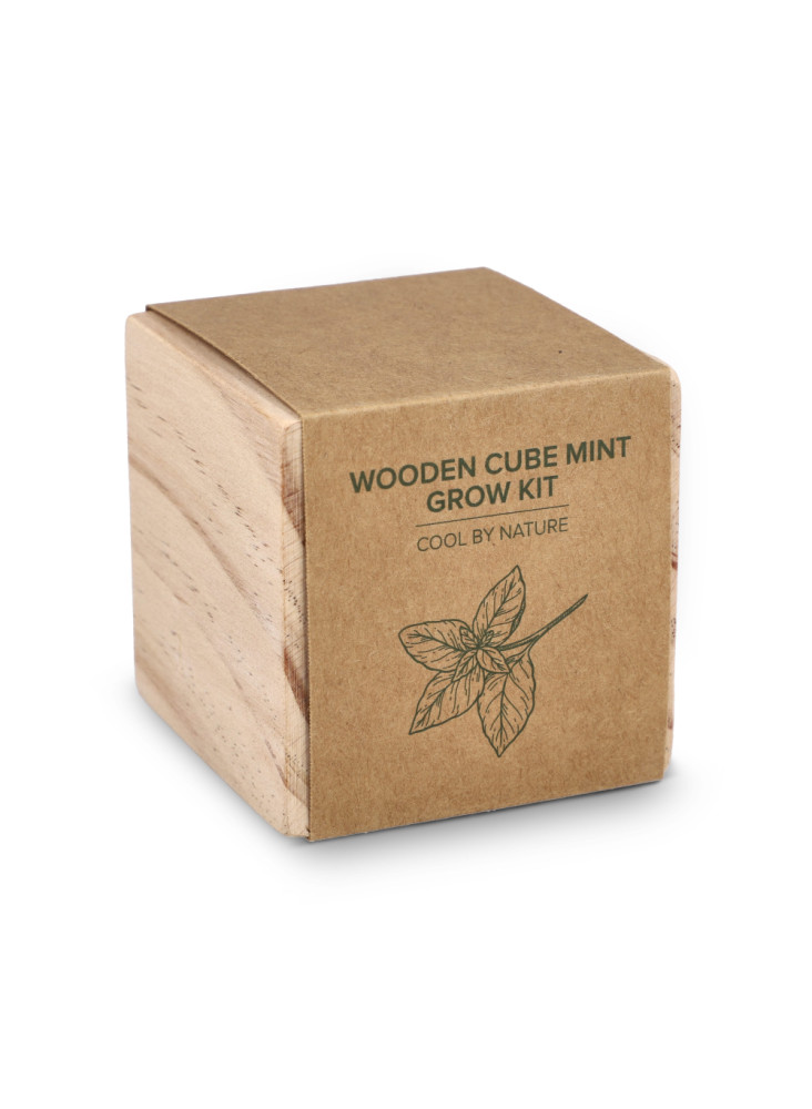 Ensemble de jardinières en bois FSC – Menthe
