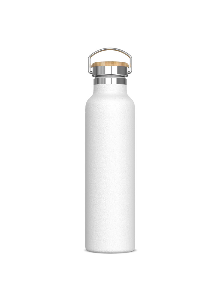 Bouteille Ashton 650ml