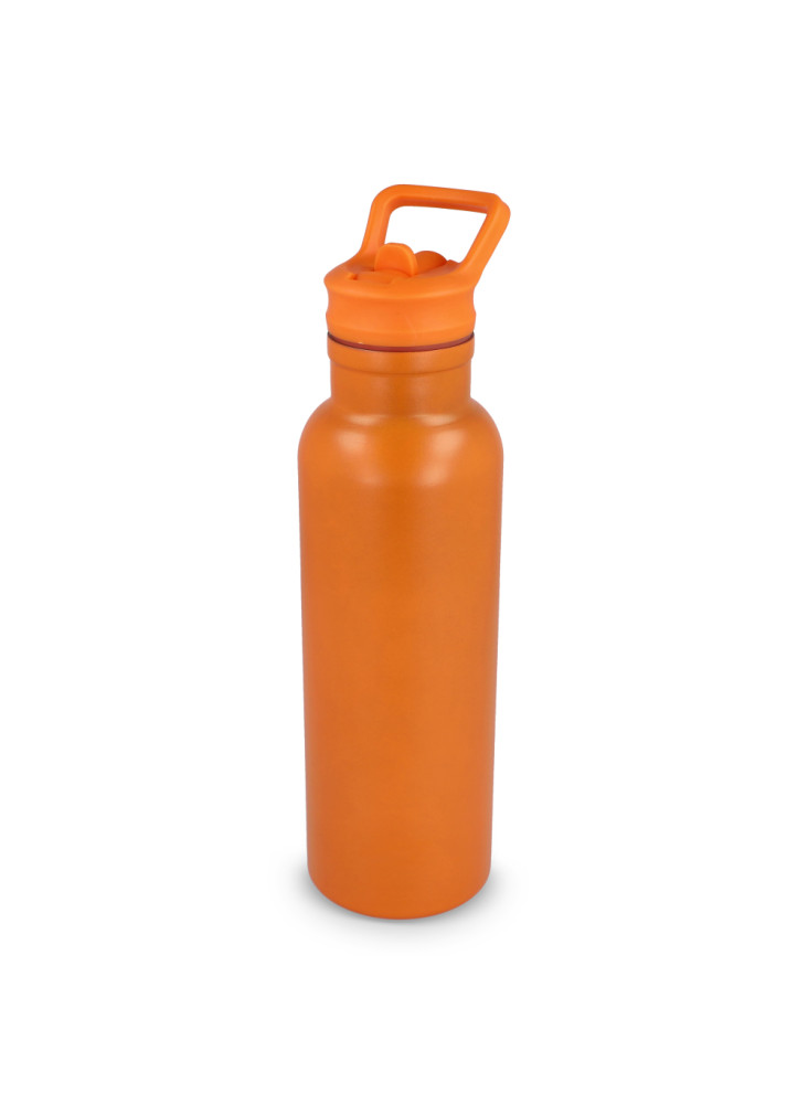 Bouteille isotherme Dario 500 ml