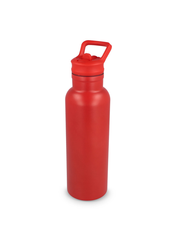 Bouteille isotherme Dario 500 ml