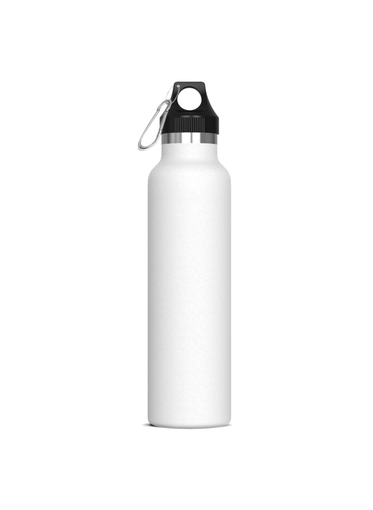 Bouteille Lennox 650ml