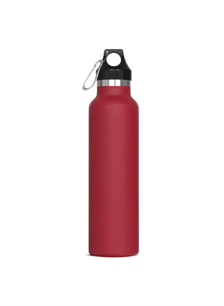Bouteille Lennox 650ml