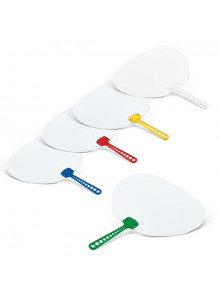 Eventail En recyclé Personnalisé