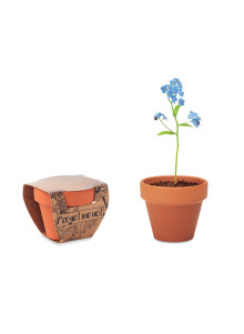 FORGET ME NOT