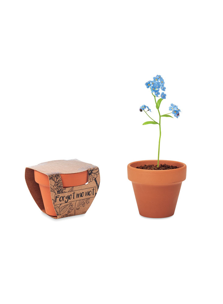 FORGET ME NOT