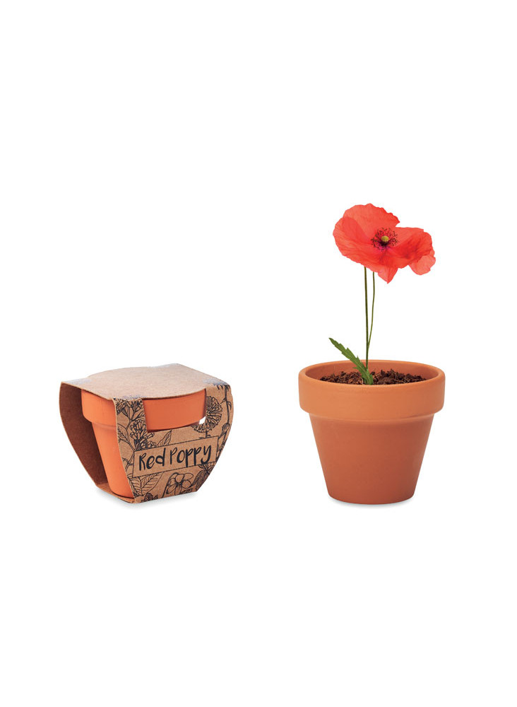 RED POPPY