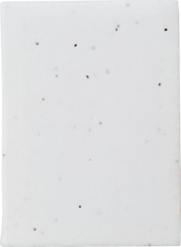 Notes adhésives Patricia | Papier ensemencé | 6 pièces