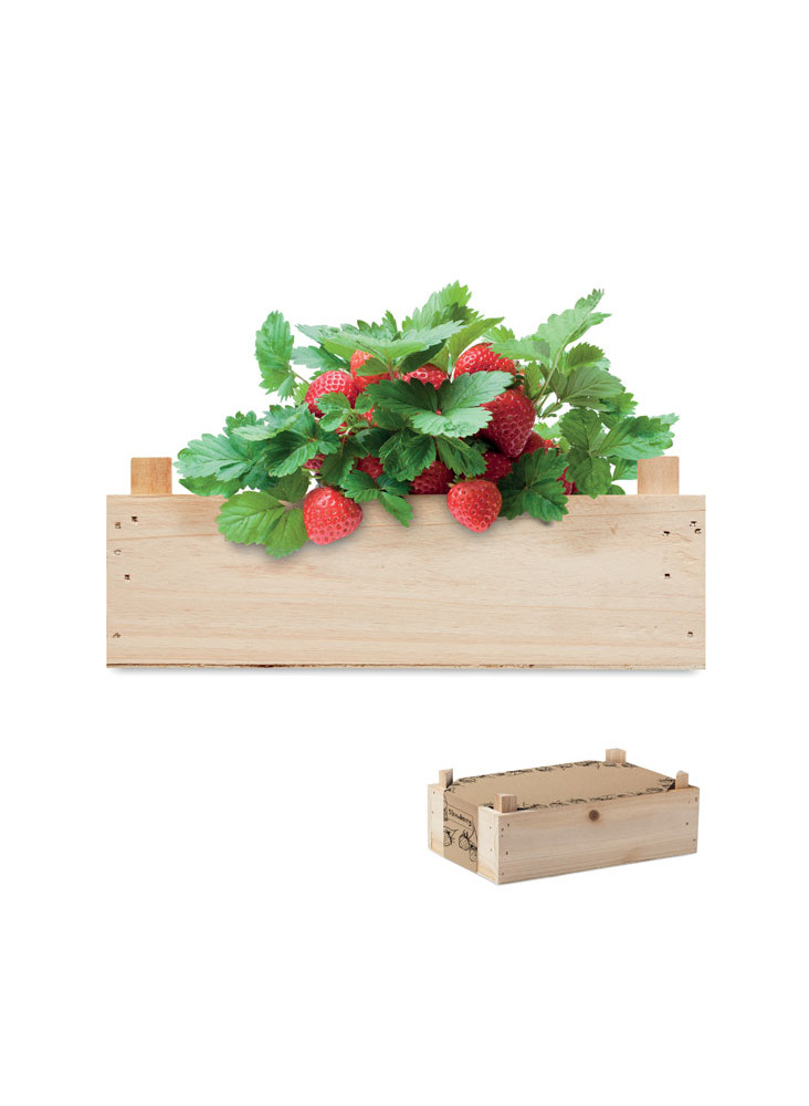 STRAWBERRY